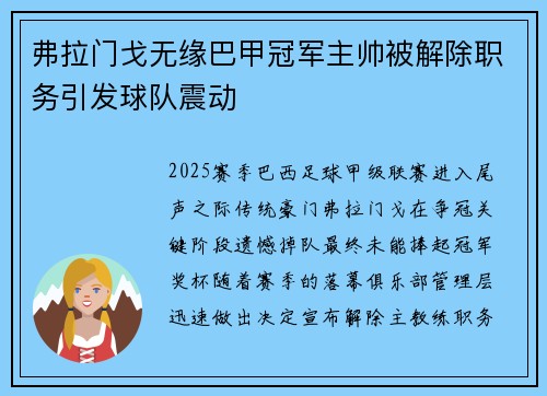 弗拉门戈无缘巴甲冠军主帅被解除职务引发球队震动